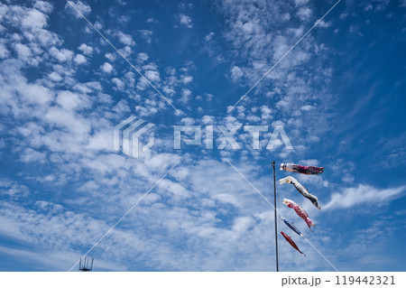 青空とこいのぼり 119442321
