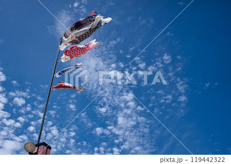 青空とこいのぼり 青空とこいのぼり 119442322