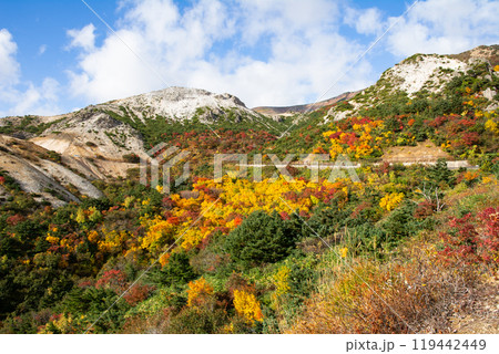 秋装う磐梯吾妻スカイライン 119442449
