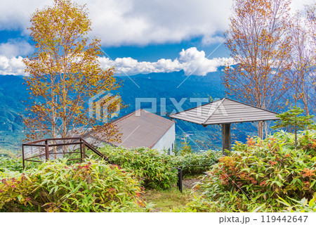 【長野県】木曽・おんたけロープウェイ　飯森高原駅の高山植物園 119442647