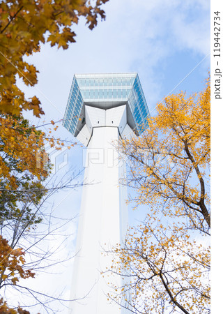 【北海道函館】秋の五稜郭タワーと紅葉した銀杏 【北海道函館】秋の五稜郭タワーと紅葉した銀杏 119442734