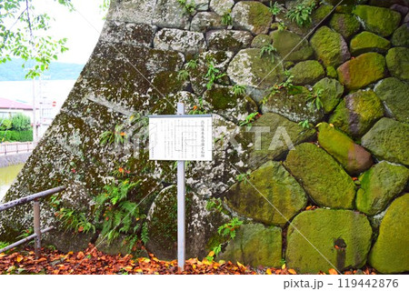 【続日本百名城】高島城 119442876