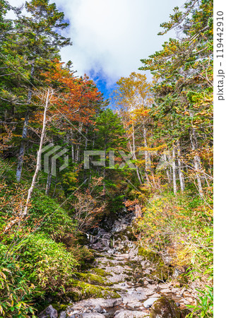 【長野県】木曽・おんたけ　登山道の霊神様御行場跡 119442910