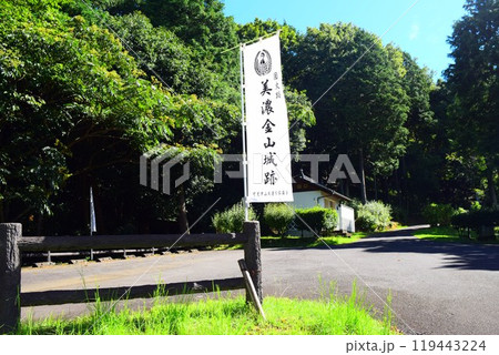 【続日本百名城】美濃金山城 119443224