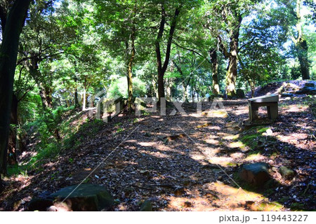 【続日本百名城】美濃金山城 119443227