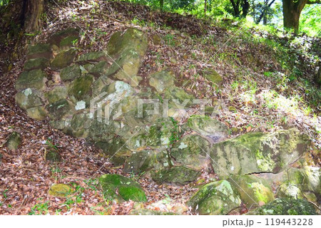 【続日本百名城】美濃金山城 119443228