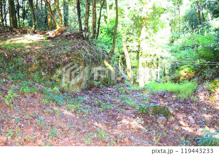 【続日本百名城】美濃金山城 119443233