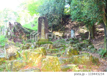 【続日本百名城】美濃金山城 119443234