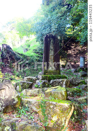 【続日本百名城】美濃金山城 119443235