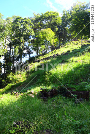 【続日本百名城】美濃金山城 119443238