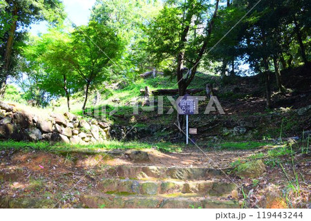 【続日本百名城】美濃金山城 119443244