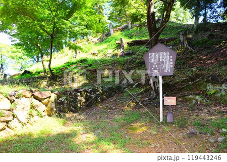 【続日本百名城】美濃金山城 119443246