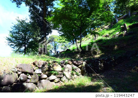【続日本百名城】美濃金山城 119443247