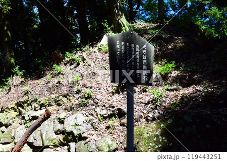 【続日本百名城】美濃金山城 119443251