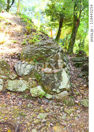 【続日本百名城】美濃金山城 119443254