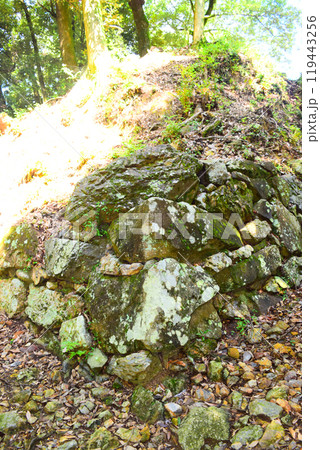 【続日本百名城】美濃金山城 119443256