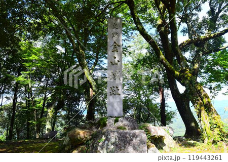 【続日本百名城】美濃金山城 119443261