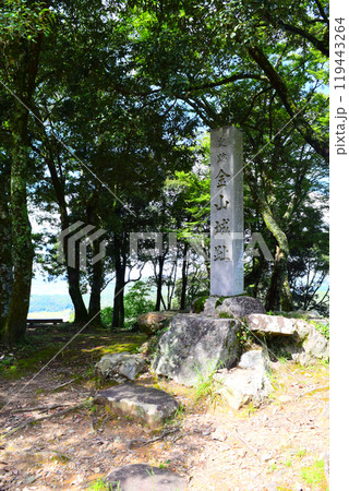 【続日本百名城】美濃金山城 119443264