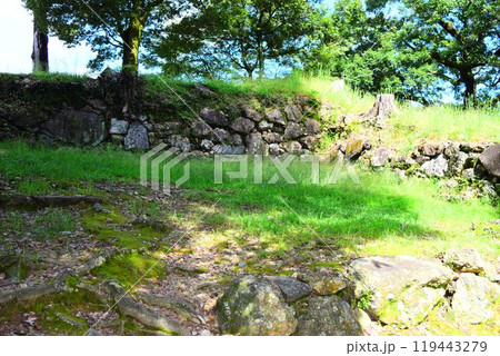 【続日本百名城】美濃金山城 119443279