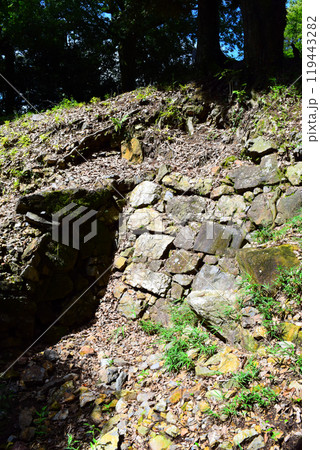 【続日本百名城】美濃金山城 119443282