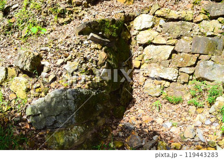 【続日本百名城】美濃金山城 119443283