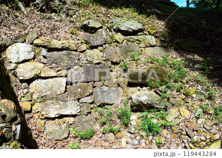 【続日本百名城】美濃金山城 119443284