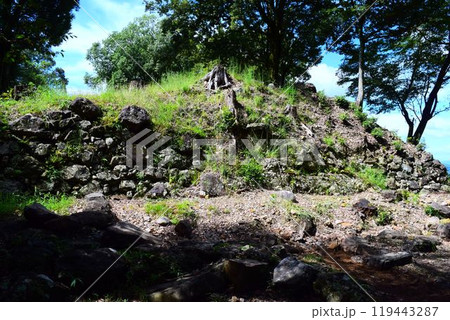 【続日本百名城】美濃金山城 119443287