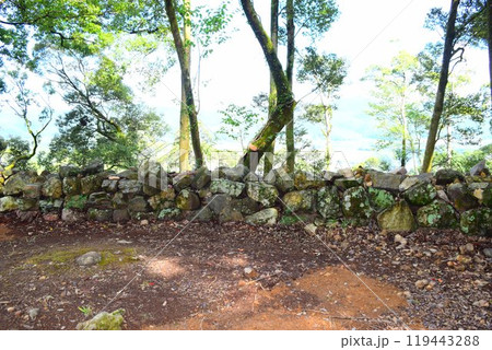 【続日本百名城】美濃金山城 119443288