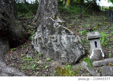 【特別史跡】尖石遺跡 119443377