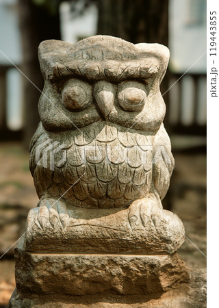 鬼子母神のみみずく 119443855