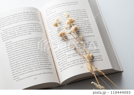 アンティークな本とドライフラワー アンティークな本とドライフラワー 119444093