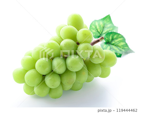 秋の味覚 シャインマスカット （ 白背景 ） 119444462