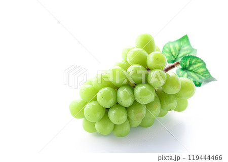 秋の味覚 シャインマスカット ( 白背景 ) 秋の味覚 シャインマスカット ( 白背景 ) 119444466
