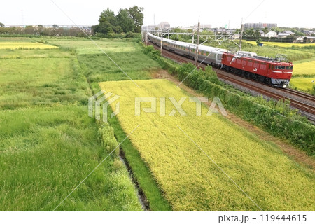 JR東日本の豪華寝台列車・E26系・カシオペア・カシオペア紀行1 119444615