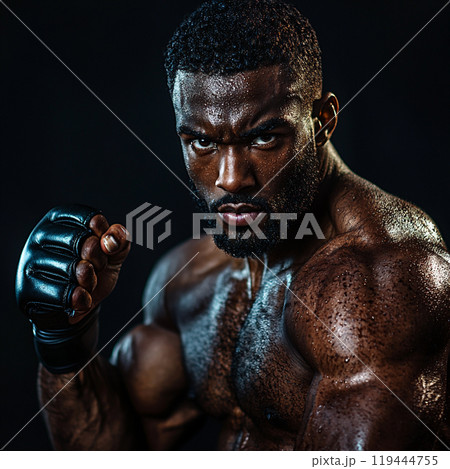 力強い格闘技のポートレート	 119444755