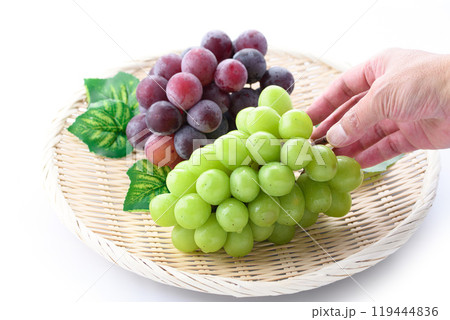 秋の味覚 シャインマスカットとピオーネ （ 白背景 ） 119444836