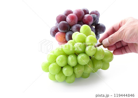 秋の味覚 シャインマスカットとピオーネ （ 白背景 ） 119444846