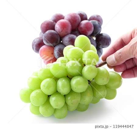 秋の味覚 シャインマスカットとピオーネ （ 白背景 ） 119444847