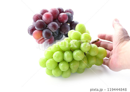 秋の味覚 シャインマスカットとピオーネ （ 白背景 ） 119444848