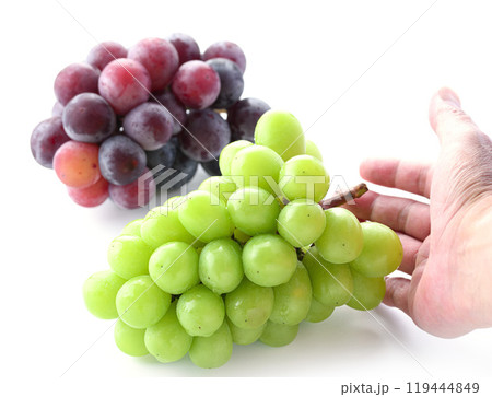 秋の味覚 シャインマスカットとピオーネ ( 白背景 ) 秋の味覚 シャインマスカットとピオーネ ( 白背景 ) 119444849