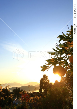 夕暮れ時の大芝島 夕暮れ時の大芝島 119445135