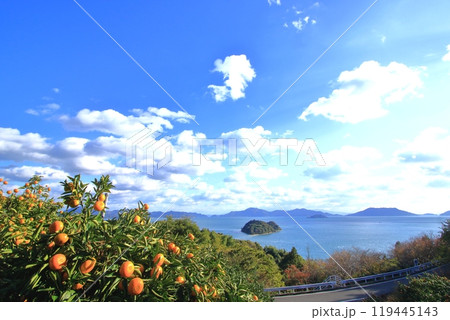 秋の大芝島からハート島 とびしま海道方面を望む 119445143