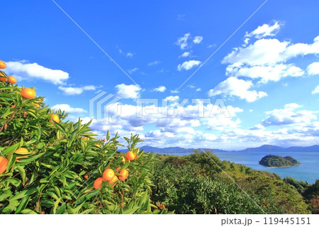 秋の大芝島からハート島 とびしま海道方面を望む 119445151
