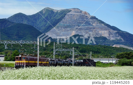 藤原岳から守られて 119445203