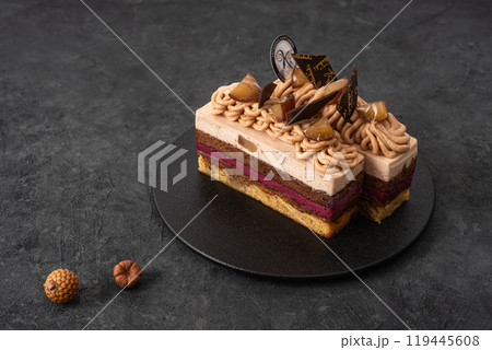 美味しそうなケーキ 119445608