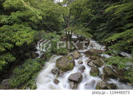 屋久島西部林道 屋久島西部林道 119446073