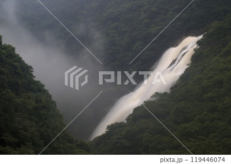 霧に包まれる大川の滝 霧に包まれる大川の滝 119446074
