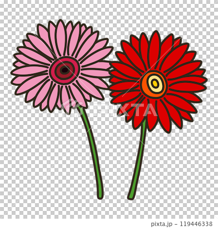 Gerbera 119446338