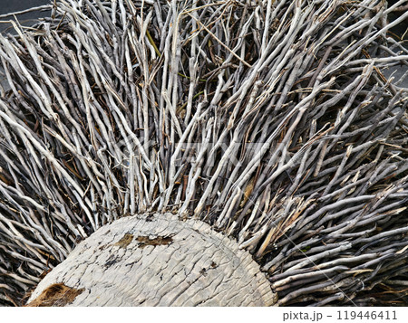 large pile consisting of branches and twigs located on the beach 119446411