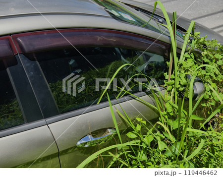 A silver car that has a broken tire and is covered with leaves 119446462
